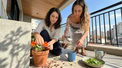 Capuchinha: o que ela tem de especial no jardim e na cozinha (e o que a ciência já mediu) — e como cultivar sem complicação